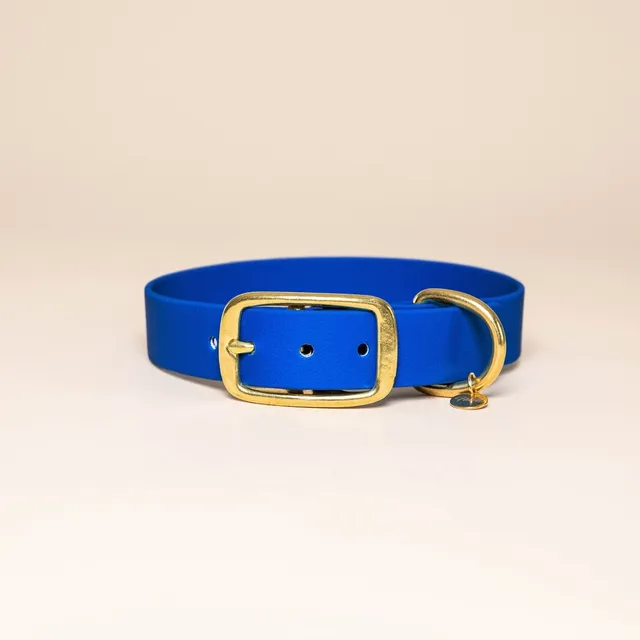 fid-le-paris-collier-chien-bleu-roi-laiton image 1