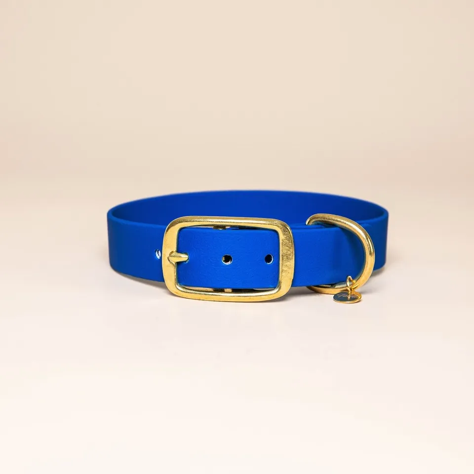 fid-le-paris-collier-chien-bleu-roi-laiton image 1