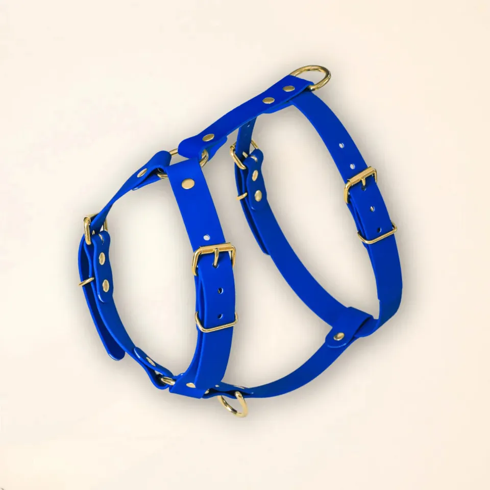 fid-le-paris-harnais-chien-bleu-roi-y-laiton image 1