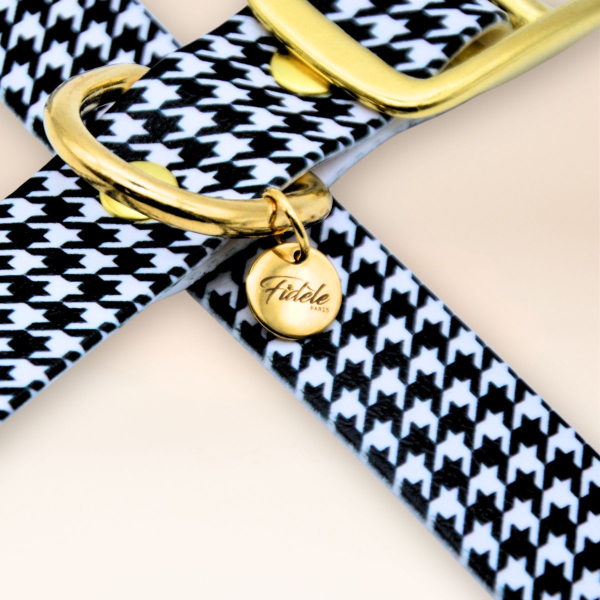 fid-le-paris-l-audacieux-collier-chien-pied-de-poule-m image 2