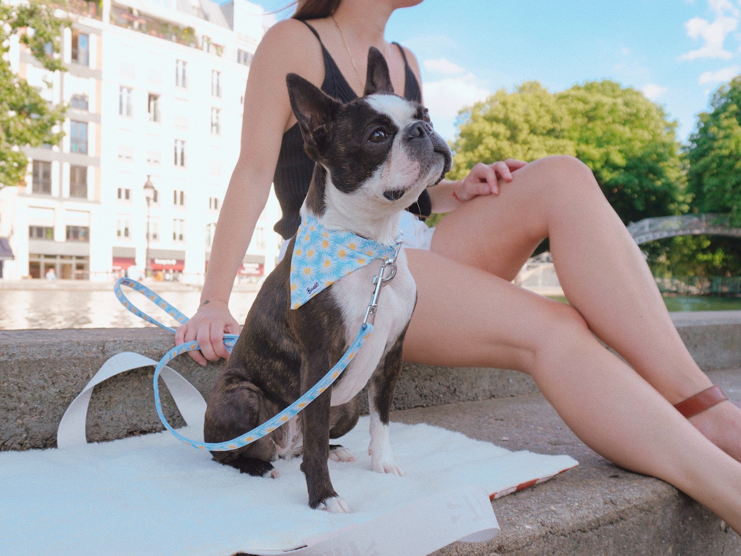 bandit-tapis-de-voyage-tapis-pliable-mini-et-petit-chien-compact image 7