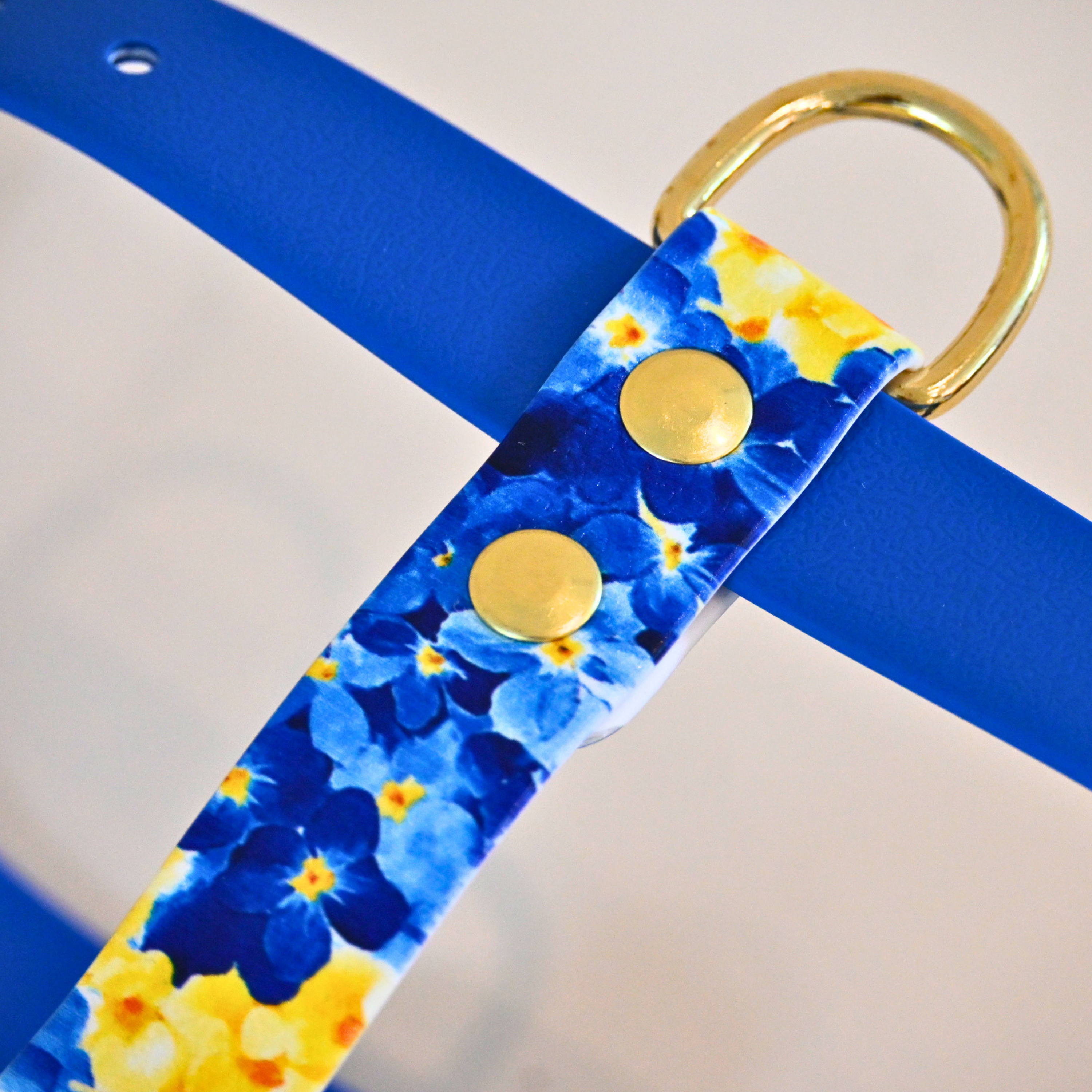 fid-le-harnais-the-bloom-dition-harnais-chien-bleu image 3