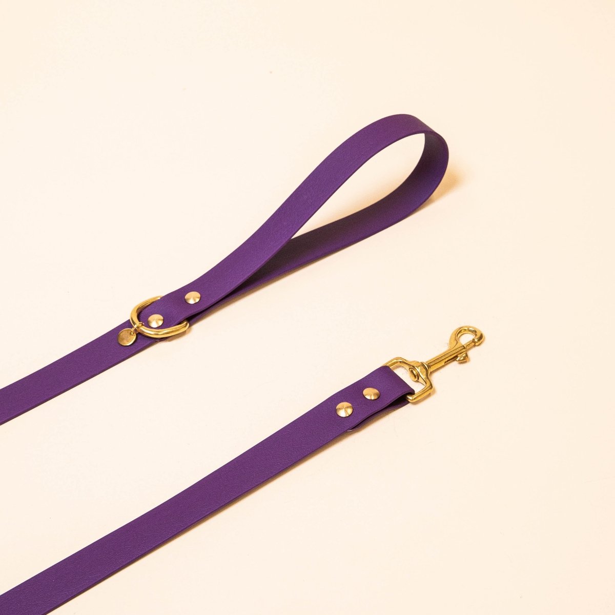fid-le-paris-l-aventurier-laisse-chien-violet-20-mm-imperm-able image 1