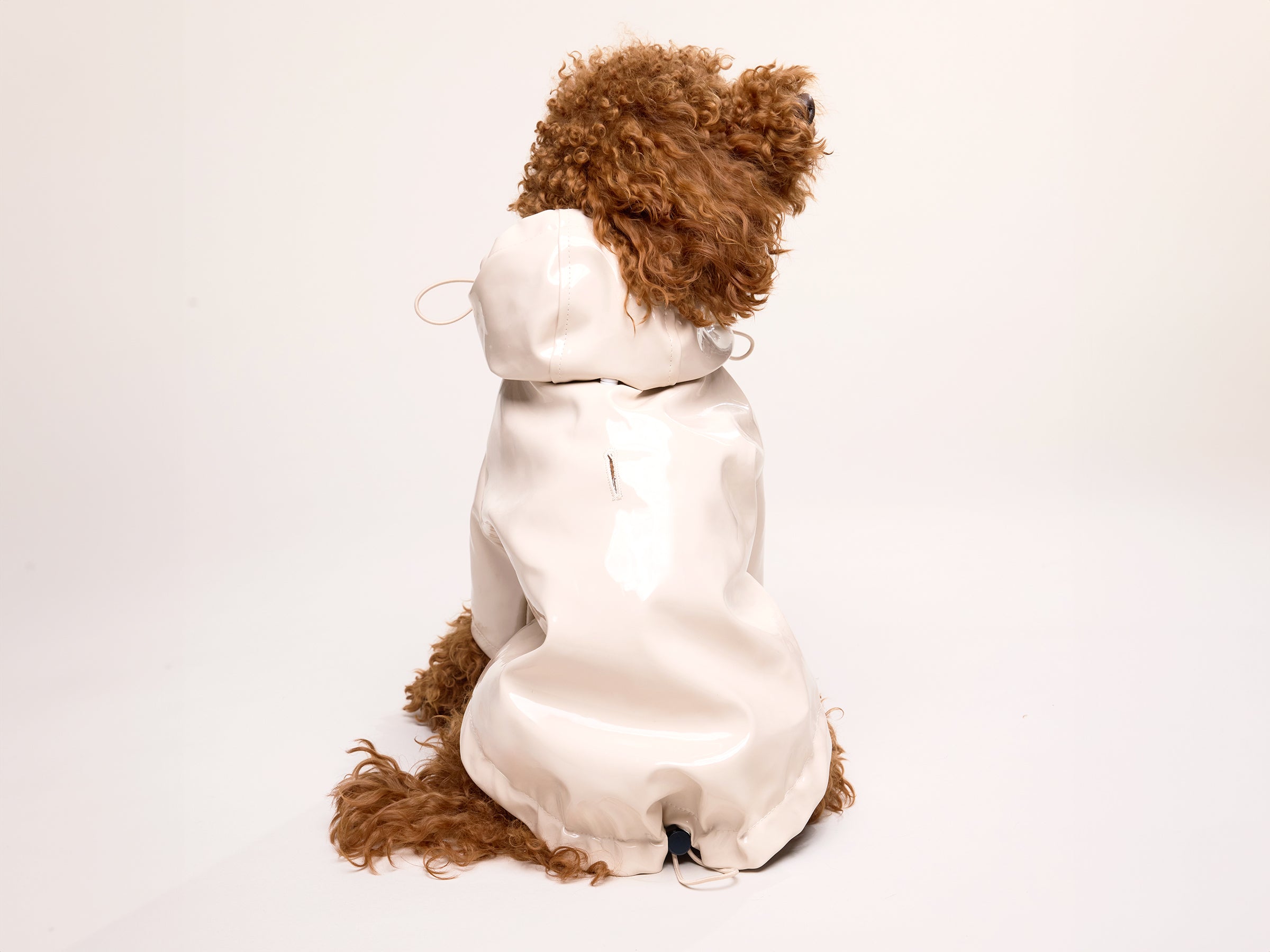 bandit-imperm-able-chien-latte-cr-me-capuche-taille-m image 5
