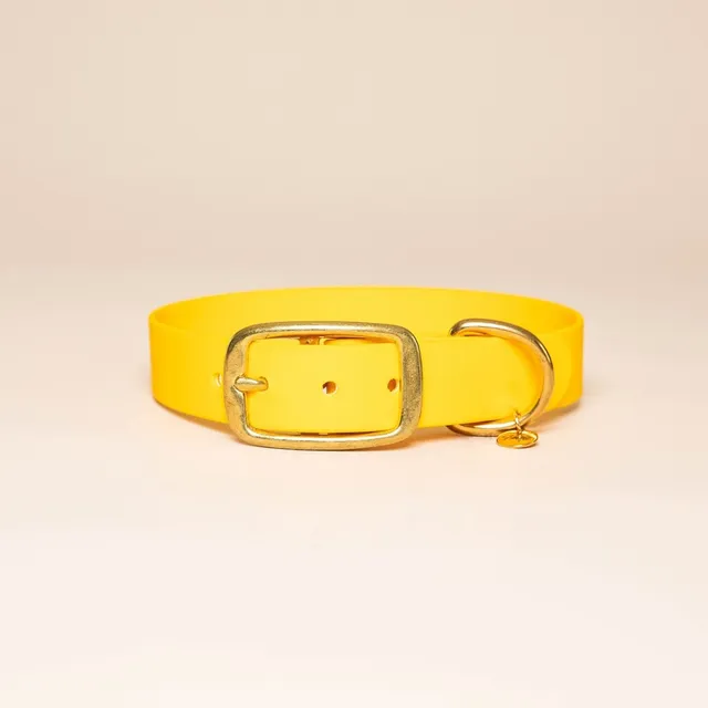 fid-le-paris-l-aventurier-collier-chien-jaune-taille-m image 1