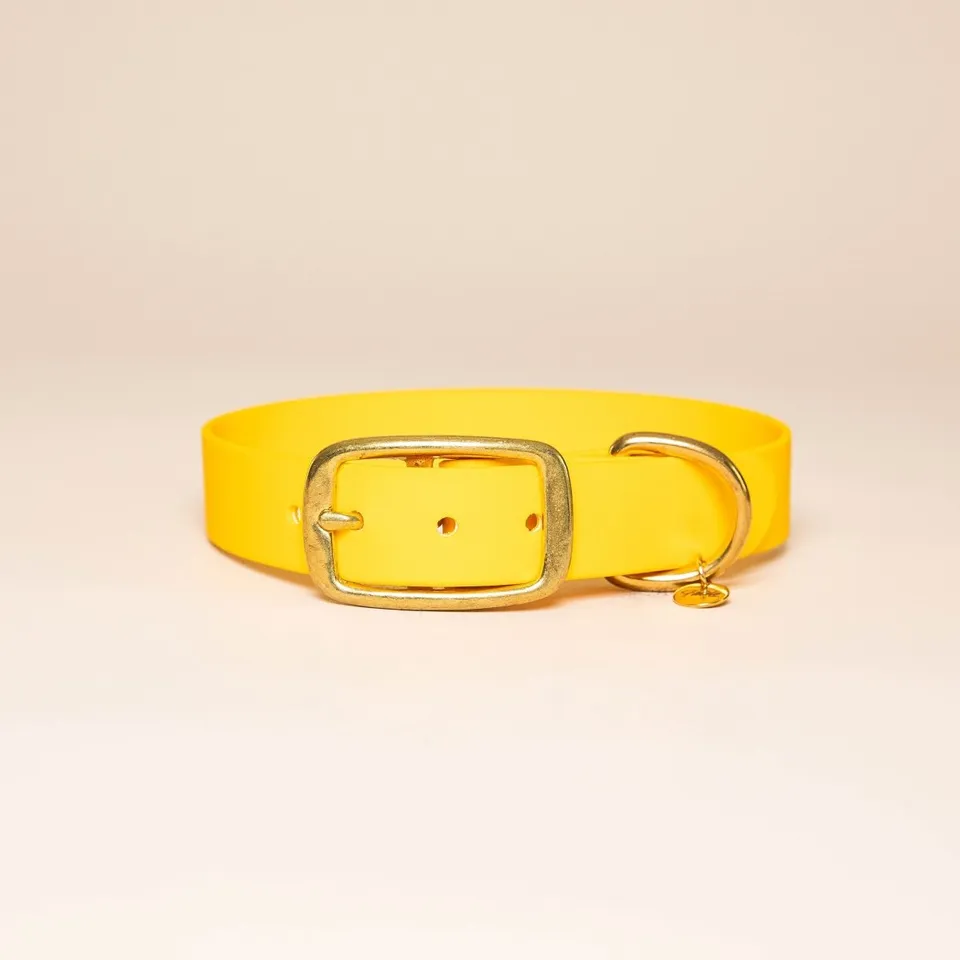 fid-le-paris-l-aventurier-collier-chien-jaune-taille-m image 1