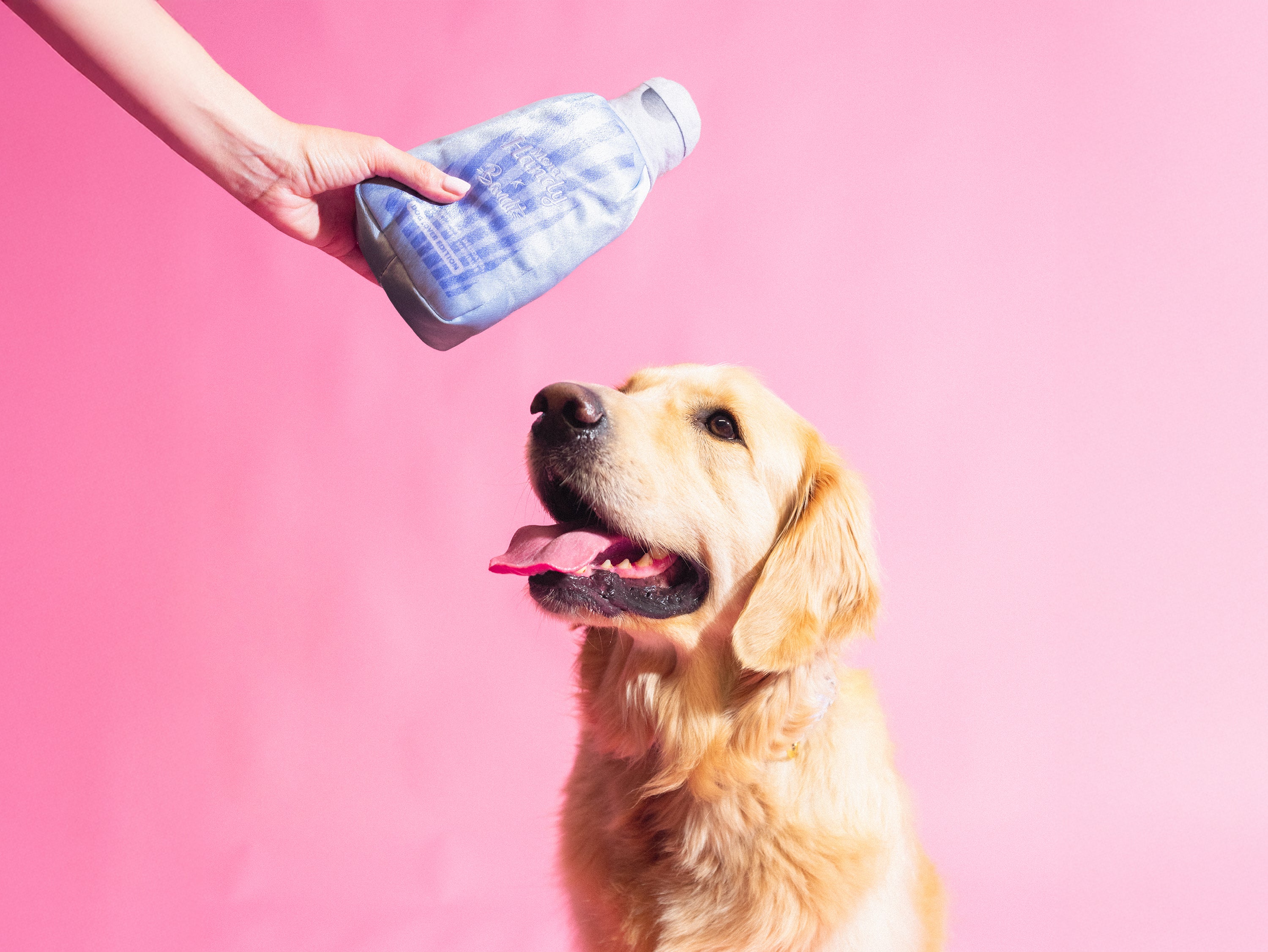 bandit-jouets-pour-chien-gel-merci-handy-jouet-peluche-pouic image 2