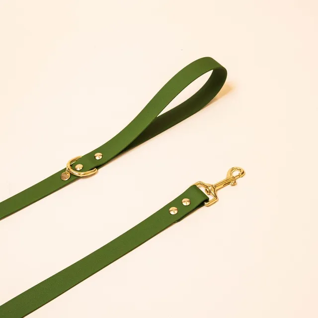 fid-le-paris-l-aventurier-laisse-chien-vert-olive-tpu-laiton image 1