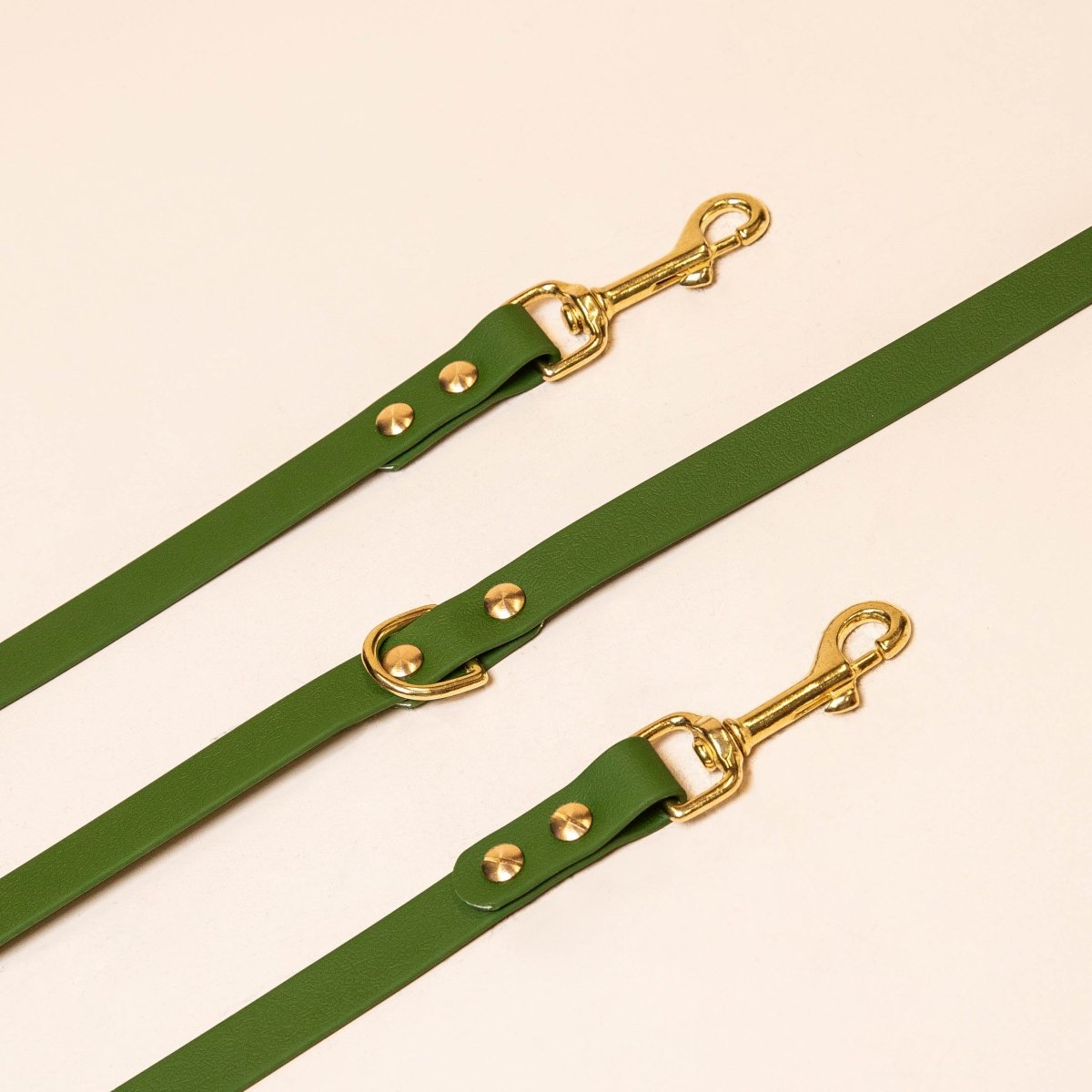 fid-le-paris-multi-positions-laisse-chien-vert-olive image 1