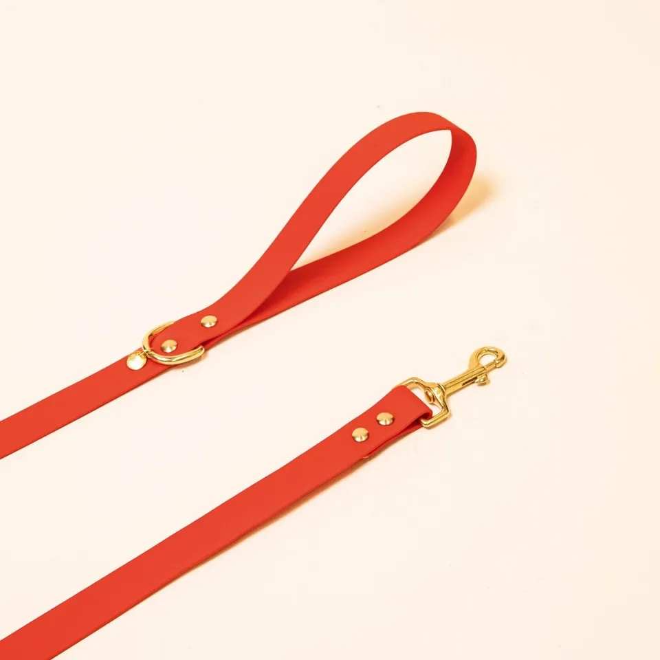 fid-le-paris-aventurier-laisse-chien-rouge-20-mm image 1