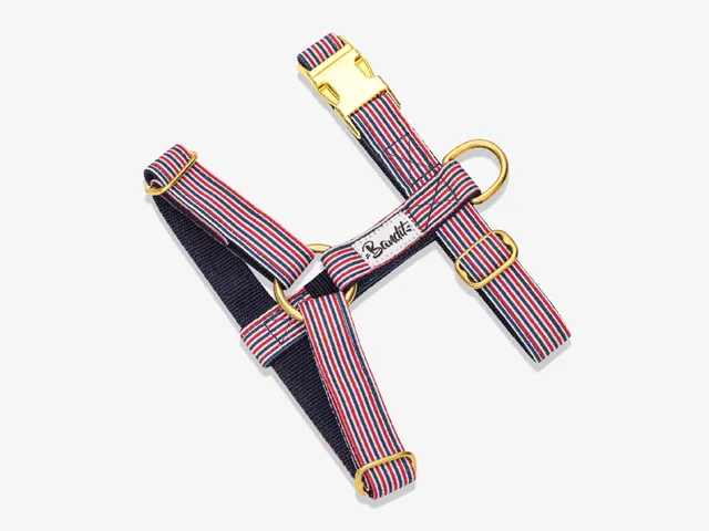 bandit-harnais-bleu-blanc-rouge-harnais-chien-nylon-t-moyen image 1