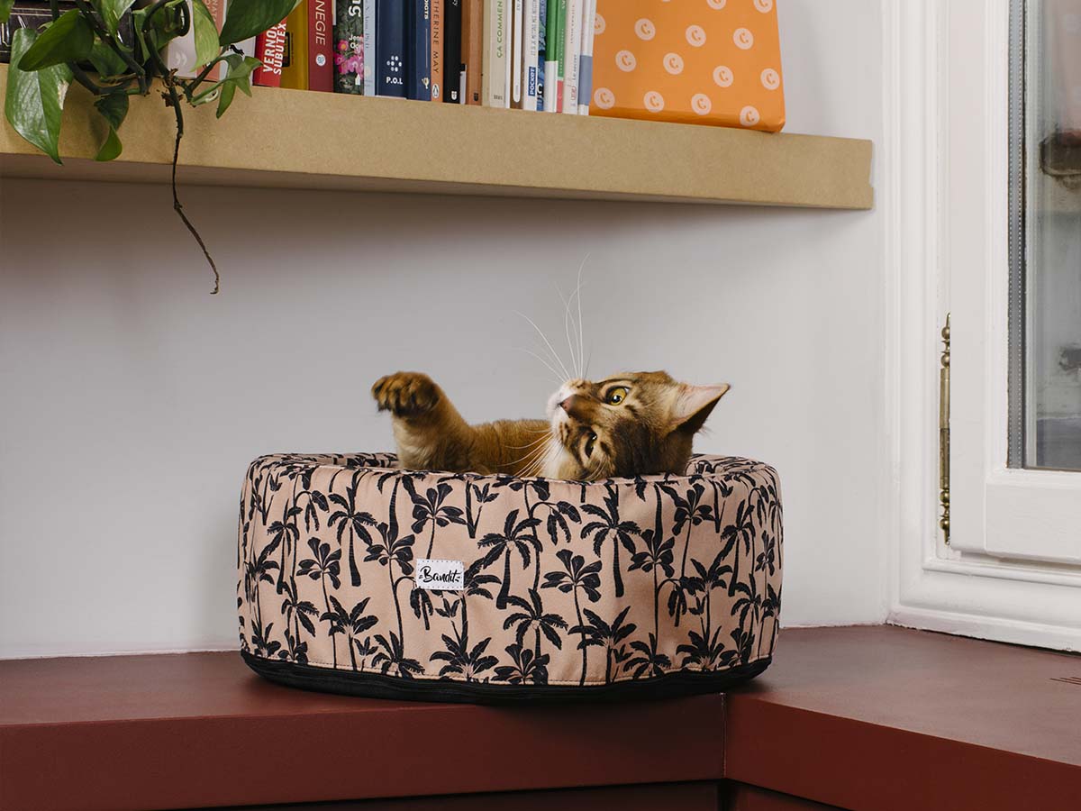 bandit-paniers-pour-chat-rond-palmier-panier-palm-beach image 2