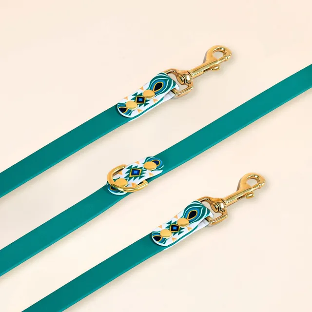 fid-le-paris-tulum-laisse-chien-bleu-paon-16-mm image 1