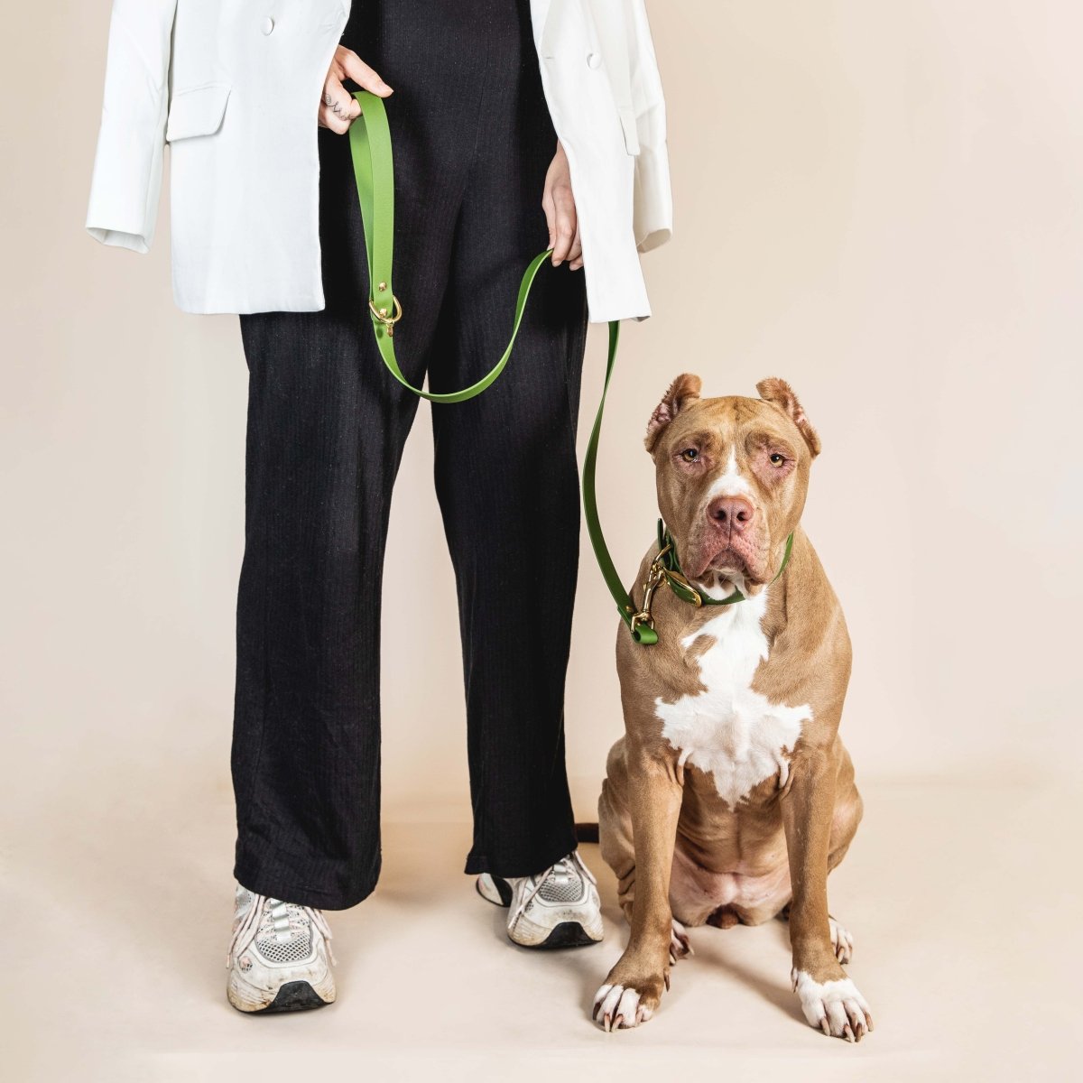 fid-le-paris-l-aventurier-laisse-chien-vert-olive-tpu-laiton image 2