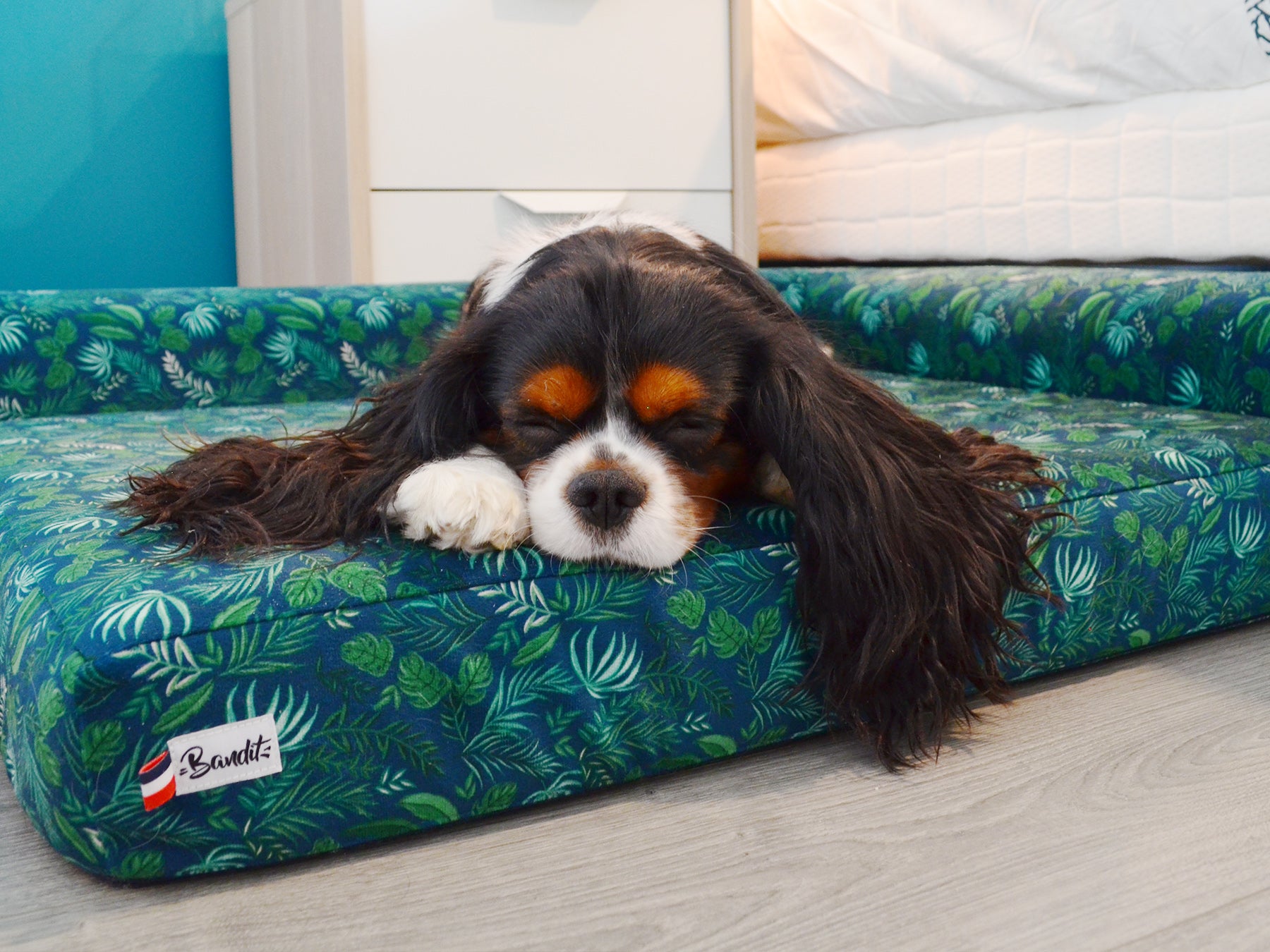 bandit-paniers-housse-de-panier-chien-velours image 6