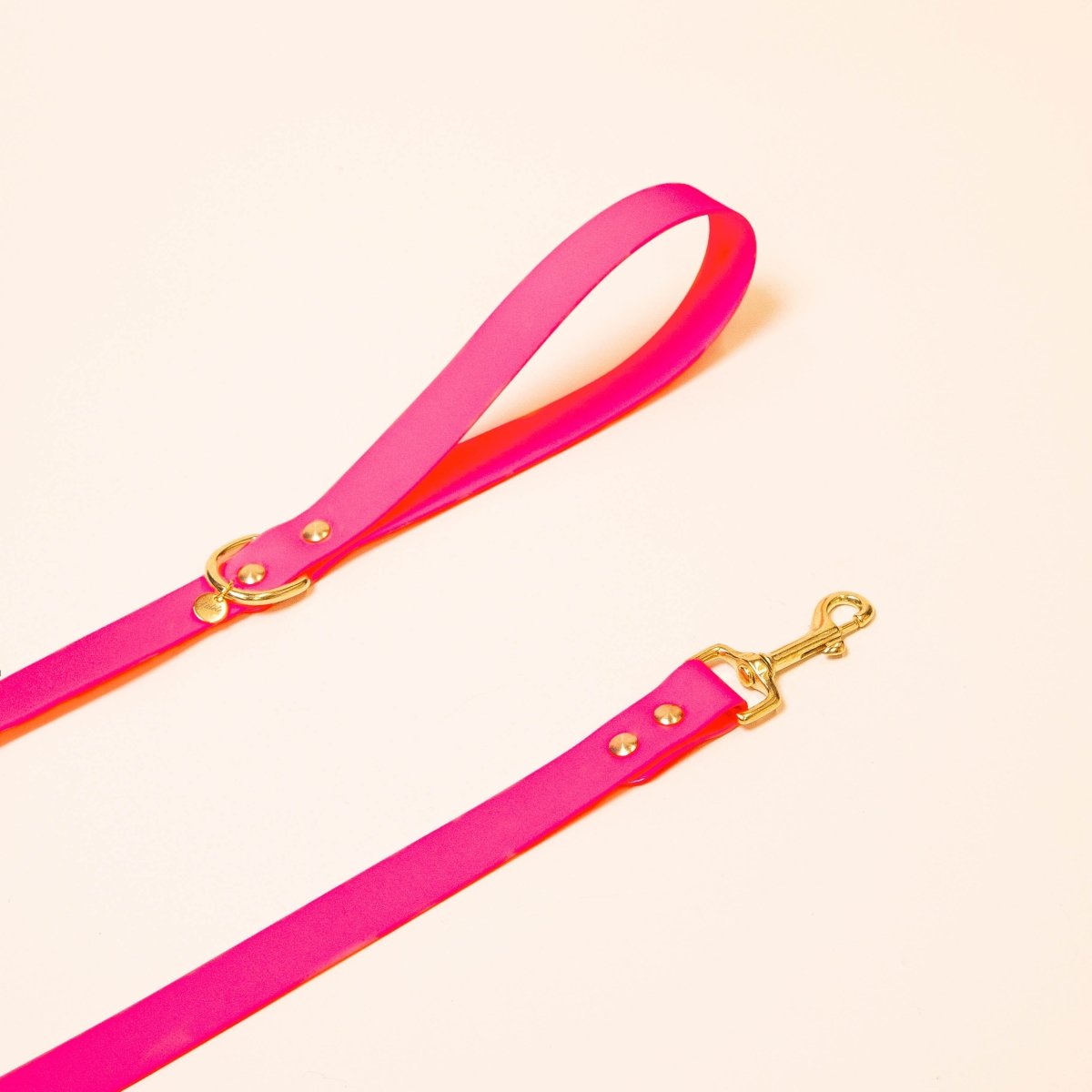 fid-le-l-aventurier-laisse-chien-rose-fluo-tpu image 1