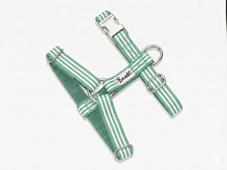 bandit-harnais-menthe-l-eau-harnais-chien-ray-vert image 1