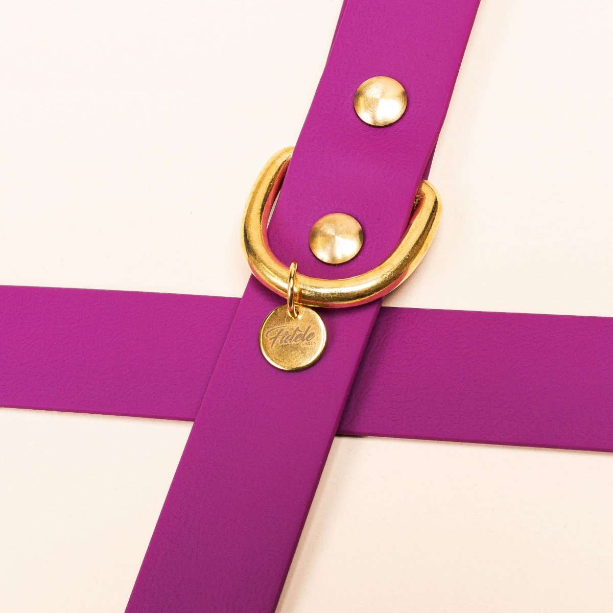 fid-le-paris-l-aventurier-laisse-chien-rose-fuchsia-imperm-able image 3