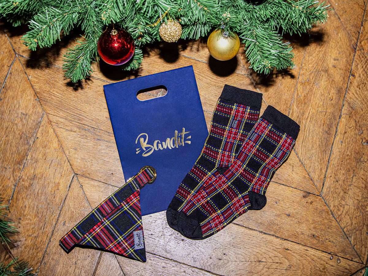 bandit-oh-my-lord-coffret-chien-bandana-chaussettes image 2