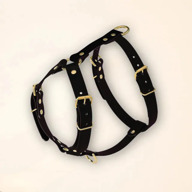 fid-le-paris-harnais-chien-noir-en-y-taille-m-sans-laisse image 1