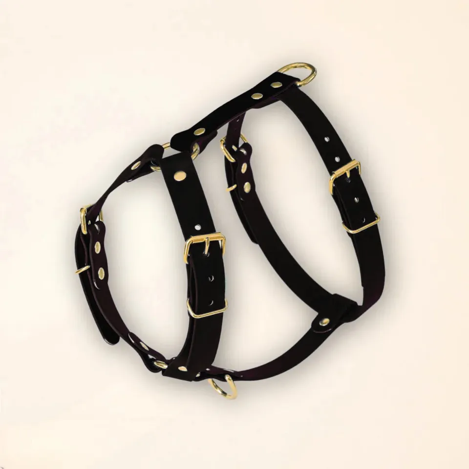 fid-le-paris-harnais-chien-noir-en-y-taille-m-sans-laisse image 1