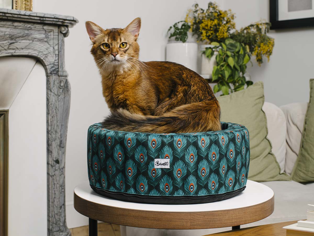 bandit-paniers-pour-chat-rond-plumes-de-paon-panier-paon image 2