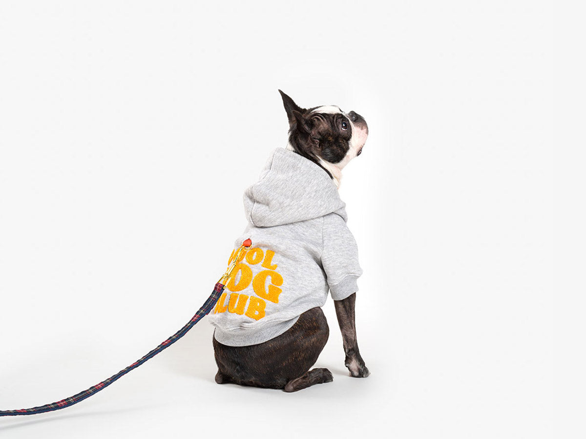 bandit-cool-dog-club-sweat-pour-chien-capuche-bleu-marine image 6
