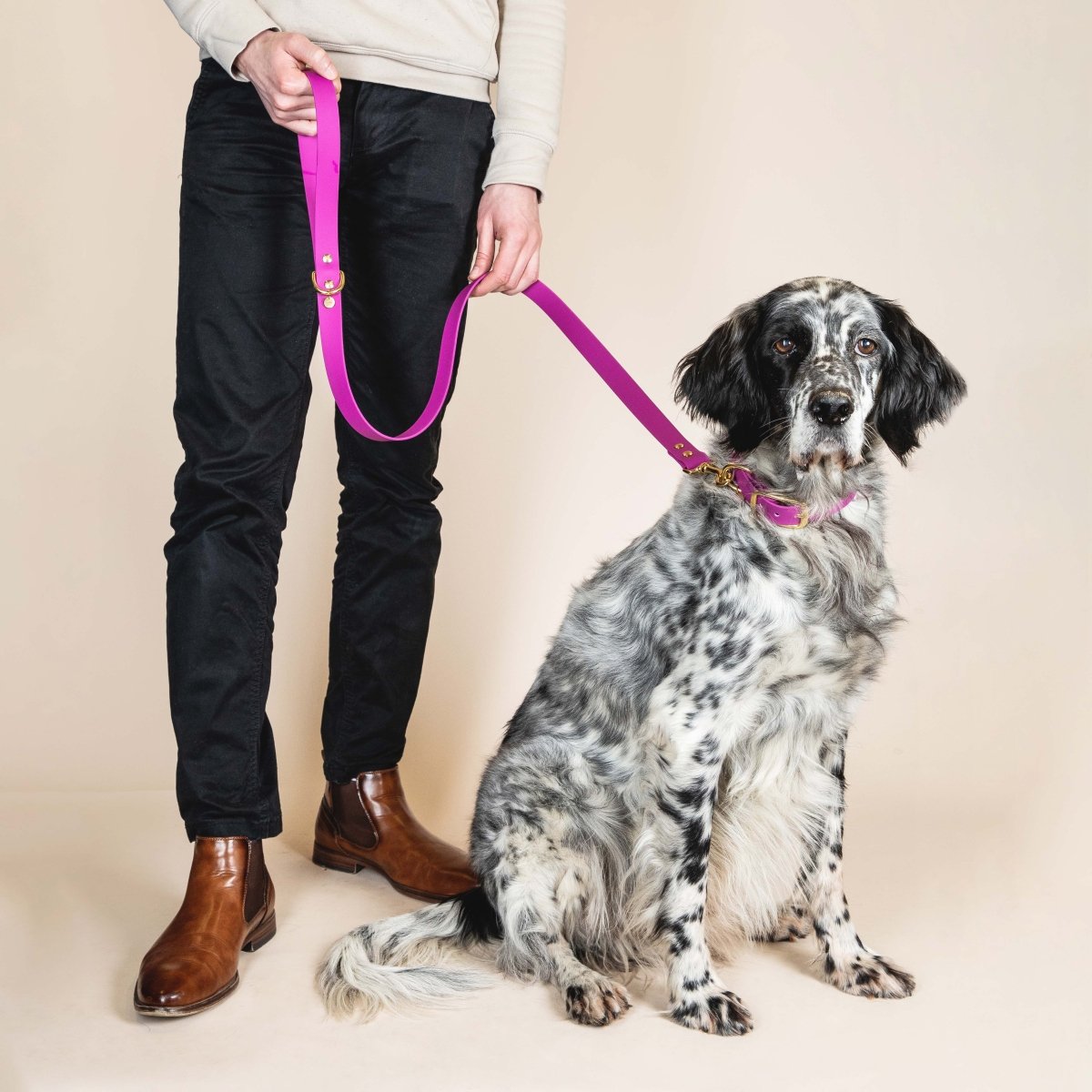 fid-le-paris-l-aventurier-laisse-chien-rose-fuchsia-imperm-able image 2
