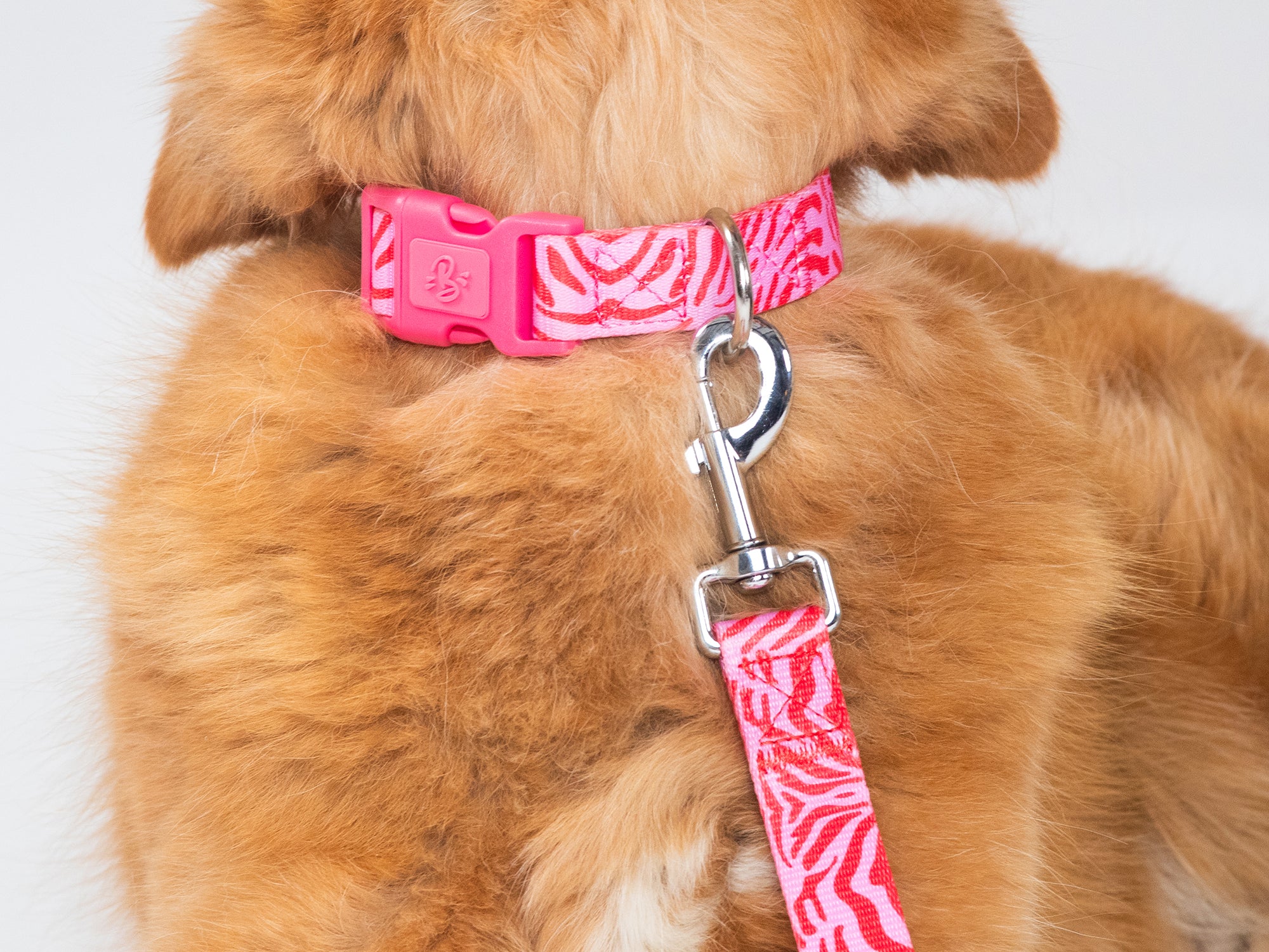bandit-laisse-chien-z-bre-rose-120-cm-nylon image 2