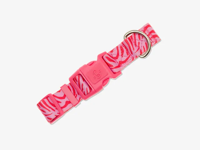 bandit-pink-zebra-collier-chien-nylon-rose image 1