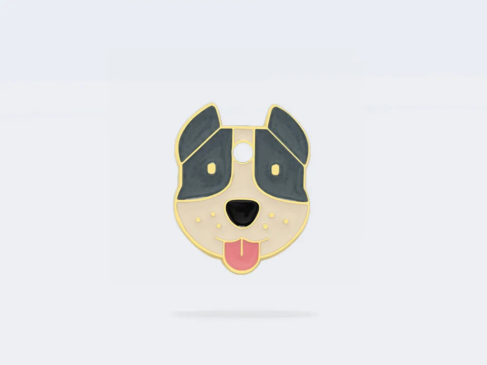bandit-m-daille-chien-staffie-gravable image 1