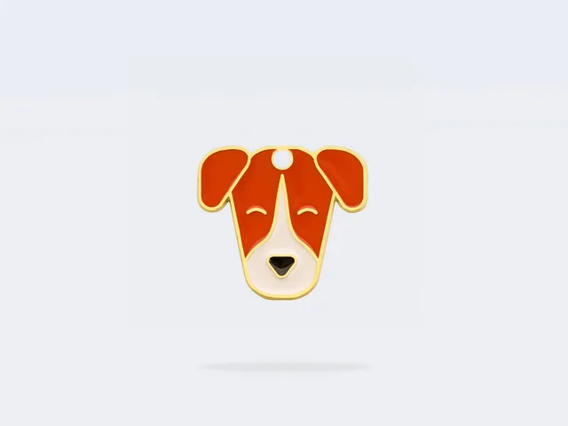 bandit-jack-russel-m-daille-chien-petite-race-jack image 1