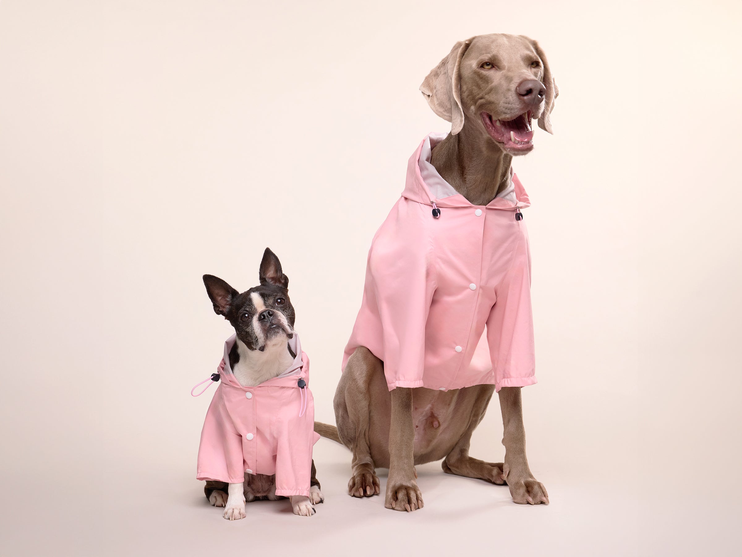bandit-bubblegum-imperm-able-chien-rose-capuche-harnais image 1
