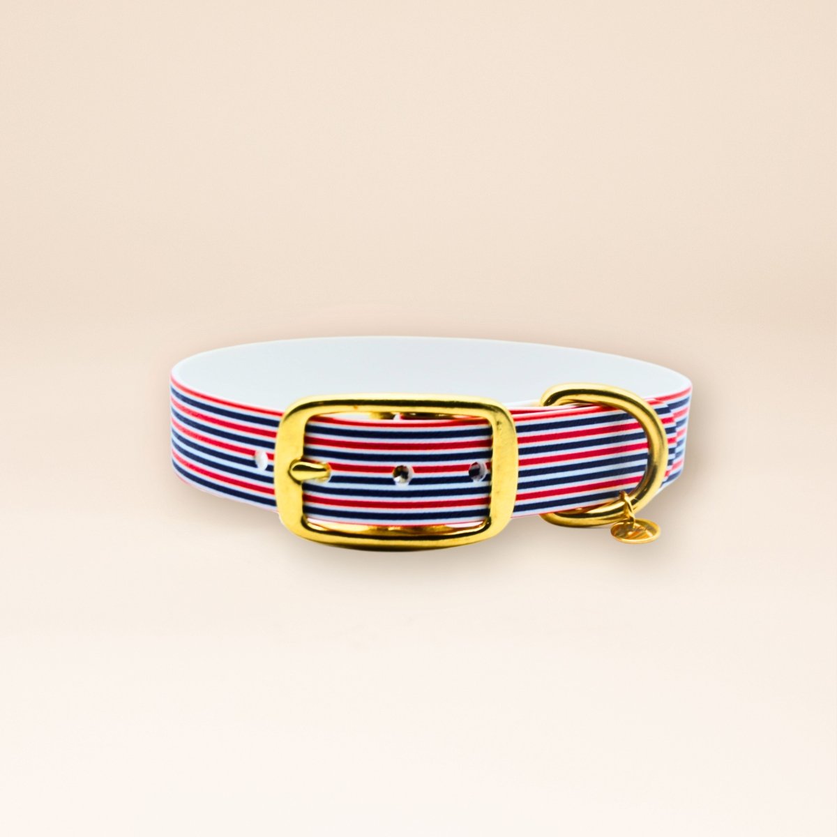 fid-le-l-audacieux-collier-chien-frenchie-m-bleu-blanc-rouge image 1
