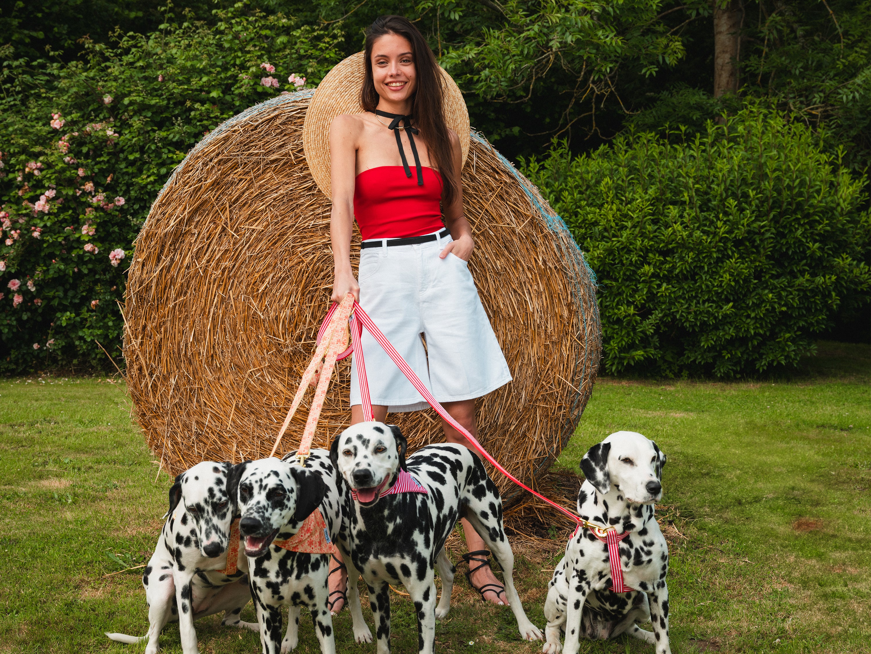 bandit-les-bains-laisse-chien-120-cm-ray-rouge-blanc image 3