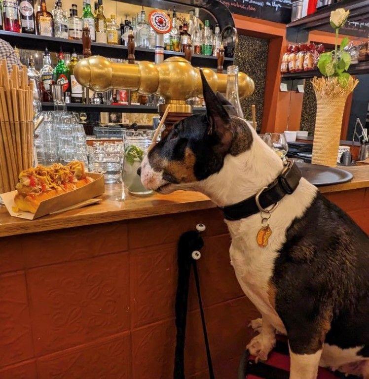 Détails nets