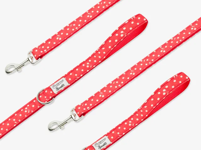 bandit-laisses-laisse-chien-coquelicot-120-cm-pois-cerises image 1