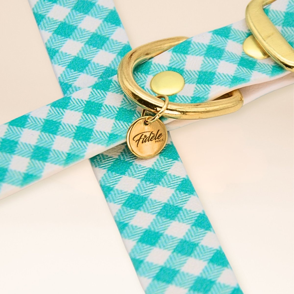 fid-le-colliers-vichy-bleu-collier-chien-imperm-able image 3