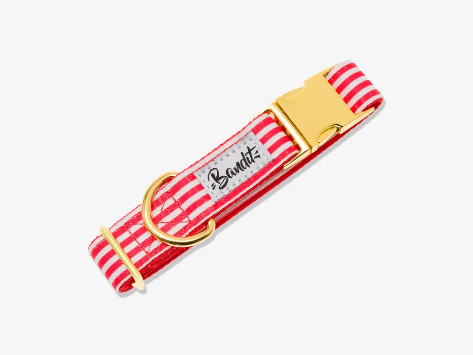bandit-les-bains-collier-chien-ray-rouge-et-blanc-petit-chien image 1