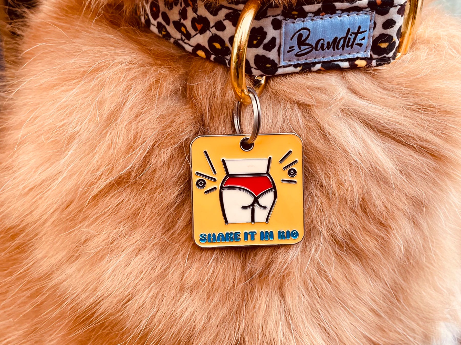 bandit-m-dailles-pour-chien-summer-m-daille-chien-4x4-cm image 2
