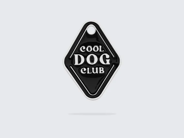 bandit-m-daille-chien-cool-dog-club-zinc-gravable image 1