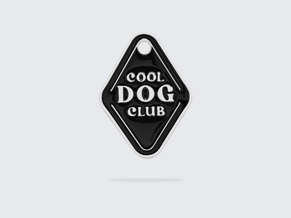 bandit-m-daille-chien-cool-dog-club-zinc-gravable image 1