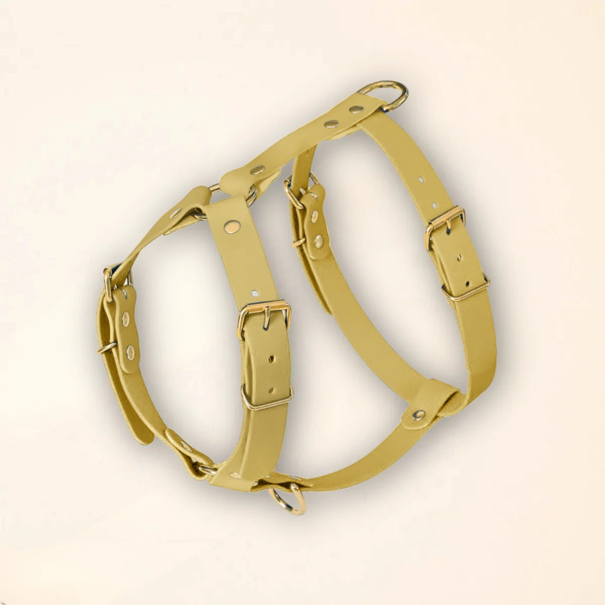 fid-le-paris-harnais-chien-vert-tilleul-confort-y image 1