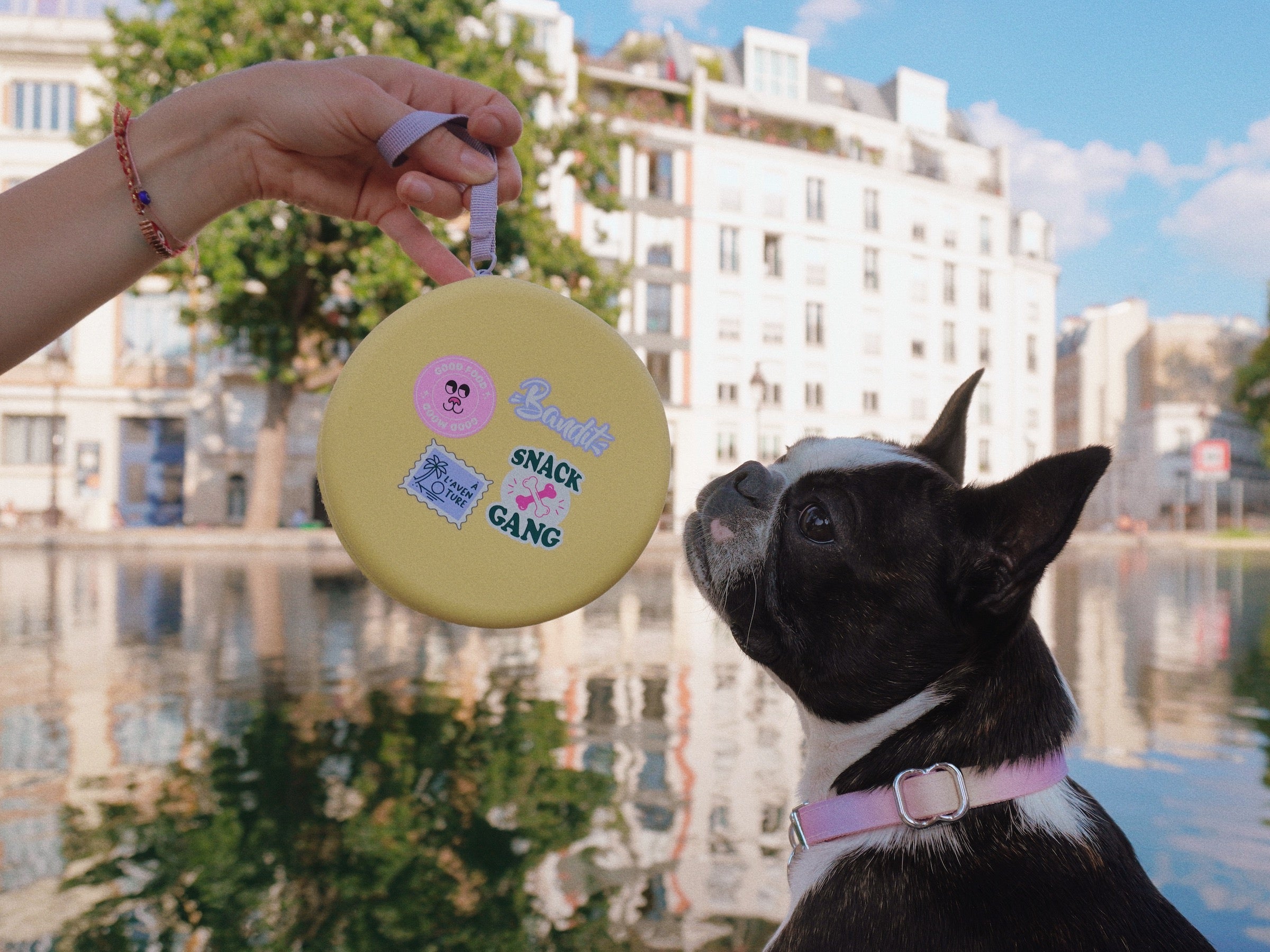 bandit-gamelle-voyage-chien-double-r-tractable-silicone image 6