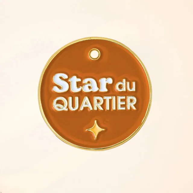fid-le-m-dailles-star-du-quartier-m-daille-chien-terracotta image 1