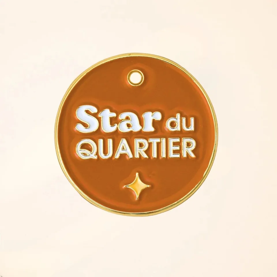 fid-le-m-dailles-star-du-quartier-m-daille-chien-terracotta image 1