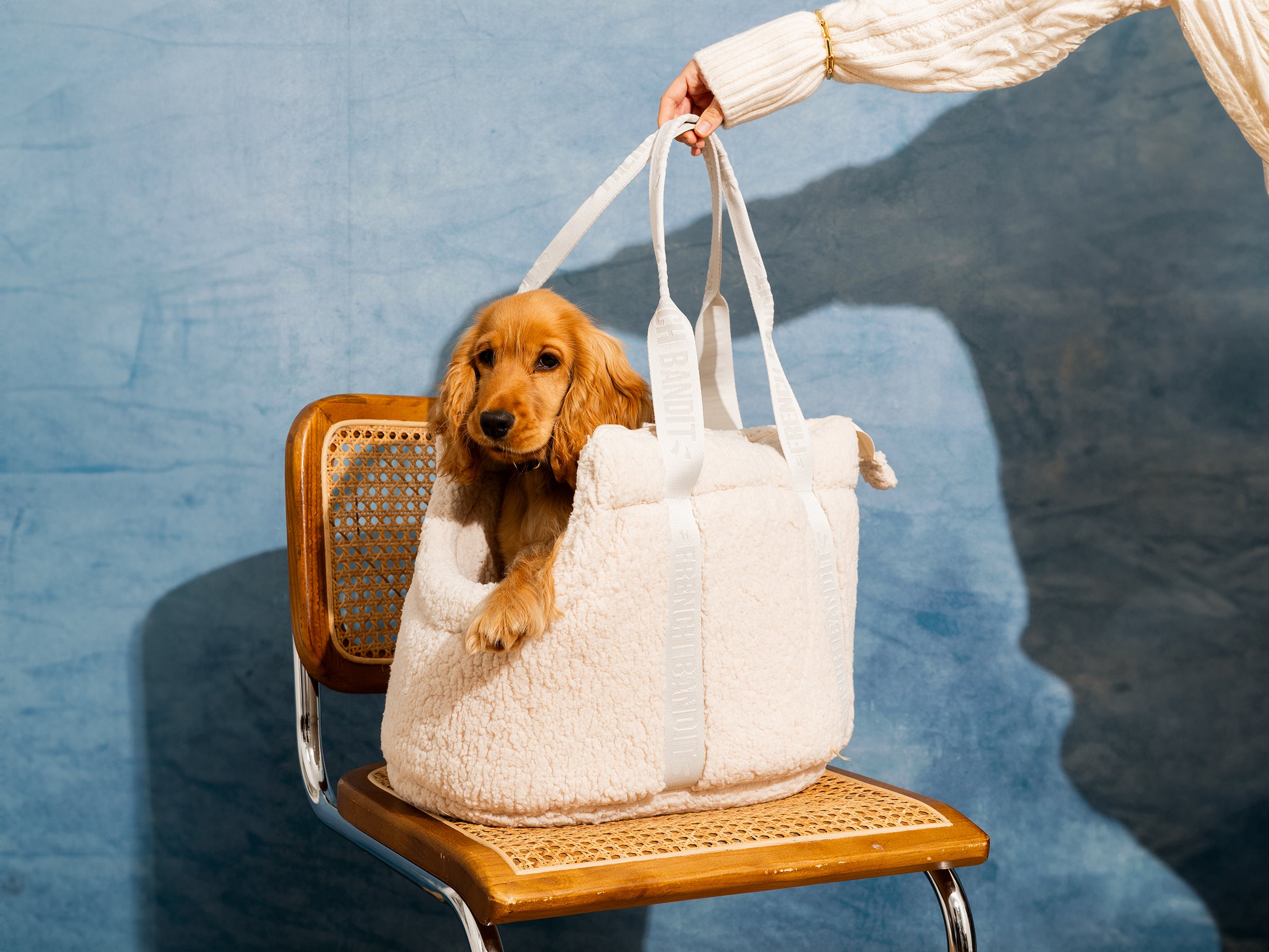 bandit-sac-transport-chien-sherpa-beige-xs-paule image 6