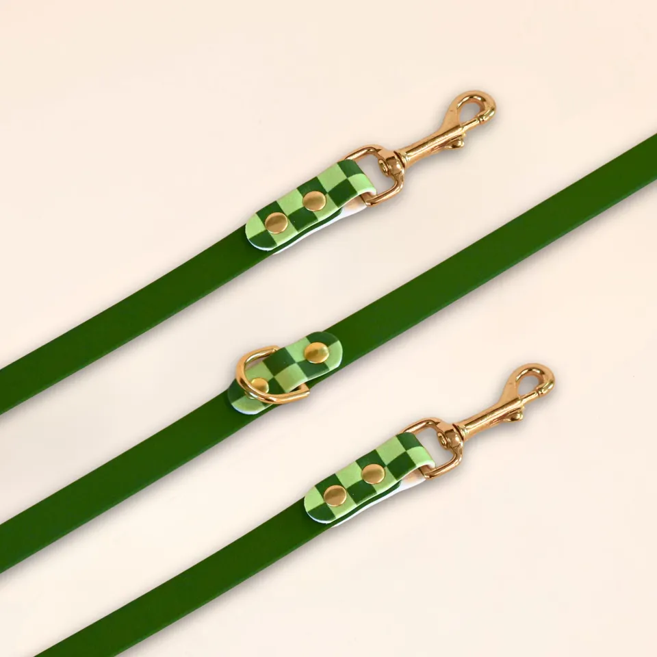 fid-le-paris-laisse-multi-positions-chien-damier-vert-20-mm image 1