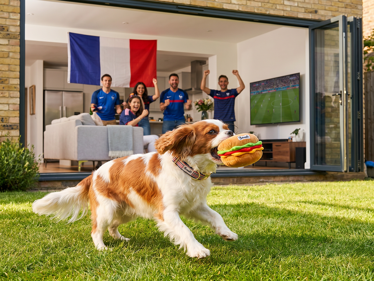 bandit-big-bandit-jouet-pour-chien-hamburger-peluche-pouet image 4