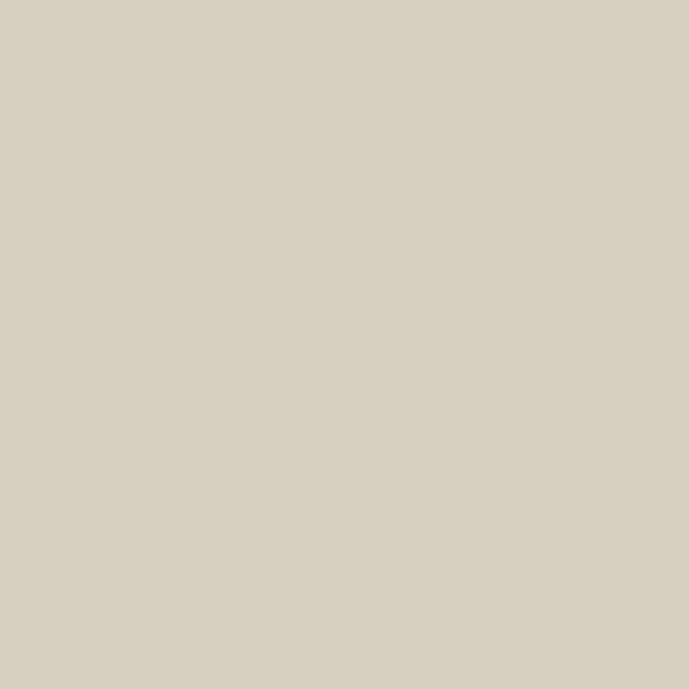 dog-copenhagen-libra-insert-gamelle-slow-feeder-silicone-m-coffee-cream image 6